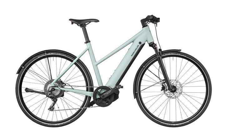 Riese & Müller Roadster Mixte Touring (625Wh avec Porte-bag)