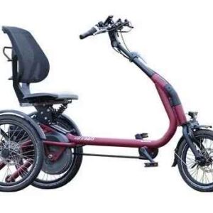 Van Raam Tricycle Easy Rider Compact